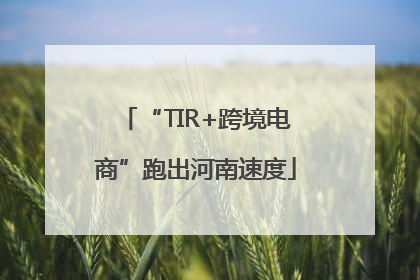 “TIR+跨境电商”跑出河南速度