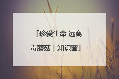 珍爱生命 远离毒蘑菇｜知识窗