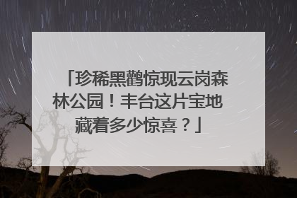 珍稀黑鹳惊现云岗森林公园！丰台这片宝地藏着多少惊喜？