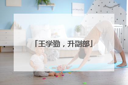 王学勤，升副部