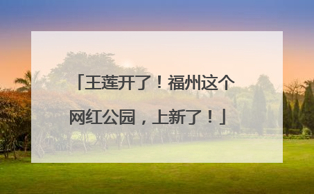 王莲开了！福州这个网红公园，上新了！