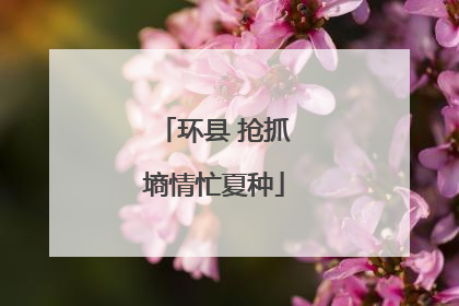 环县 抢抓墒情忙夏种
