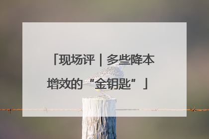 现场评｜多些降本增效的“金钥匙”