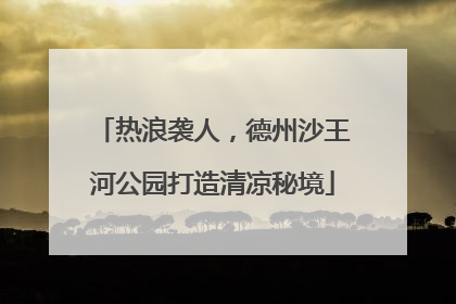 热浪袭人，德州沙王河公园打造清凉秘境