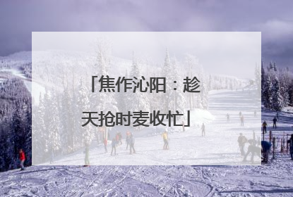 焦作沁阳：趁天抢时麦收忙