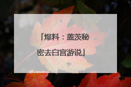 爆料：盖茨秘密去白宫游说
