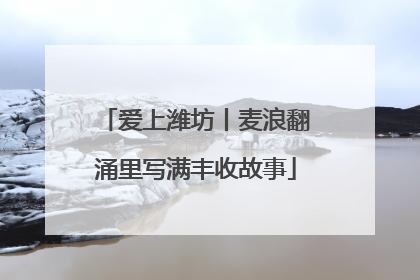 爱上潍坊丨麦浪翻涌里写满丰收故事