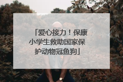 爱心接力！保康小学生救助国家保护动物冠鱼狗