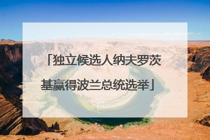 独立候选人纳夫罗茨基赢得波兰总统选举