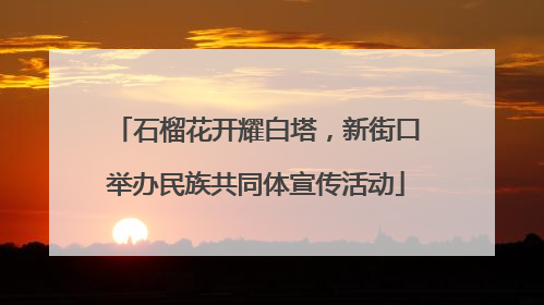 石榴花开耀白塔，新街口举办民族共同体宣传活动