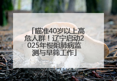 瞄准40岁以上高危人群！辽宁启动2025年慢阻肺病监测与早筛工作