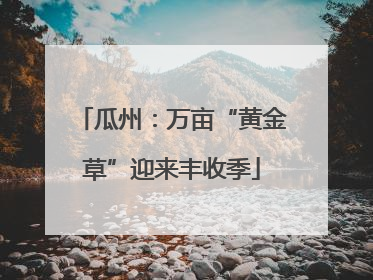 瓜州：万亩“黄金草”迎来丰收季