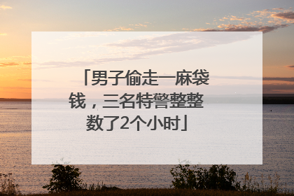 男子偷走一麻袋钱，三名特警整整数了2个小时