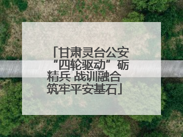 甘肃灵台公安“四轮驱动”砺精兵 战训融合筑牢平安基石