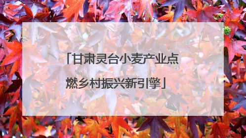 甘肃灵台小麦产业点燃乡村振兴新引擎