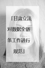甘肃立法对数据全链条工作进行规范