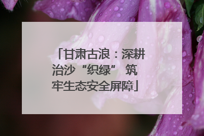 甘肃古浪：深耕治沙“织绿” 筑牢生态安全屏障