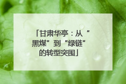 甘肃华亭:从“黑煤”到“绿链”的转型突围