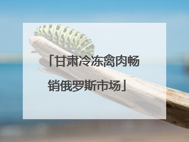 甘肃冷冻禽肉畅销俄罗斯市场