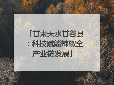 甘肃天水甘谷县：科技赋能辣椒全产业链发展