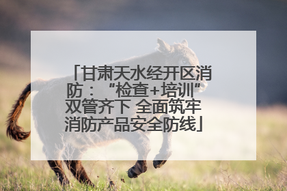 甘肃天水经开区消防：“检查+培训”双管齐下 全面筑牢消防产品安全防线