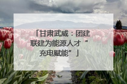 甘肃武威：团建联建为能源人才“充电赋能”