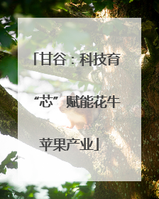 甘谷：科技育“芯”赋能花牛苹果产业
