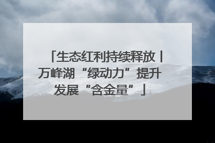 生态红利持续释放丨万峰湖“绿动力”提升发展“含金量”