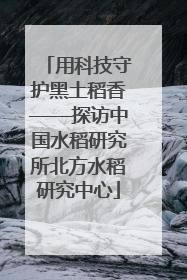 用科技守护黑土稻香——探访中国水稻研究所北方水稻研究中心