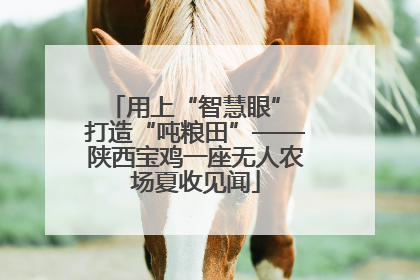 用上“智慧眼” 打造“吨粮田”——陕西宝鸡一座无人农场夏收见闻