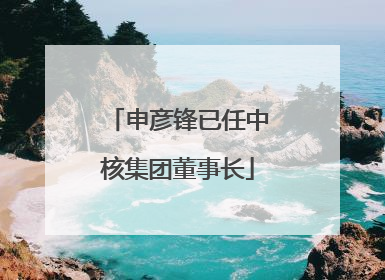 申彦锋已任中核集团董事长
