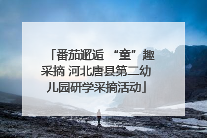 番茄邂逅 “童”趣采摘 河北唐县第二幼儿园研学采摘活动