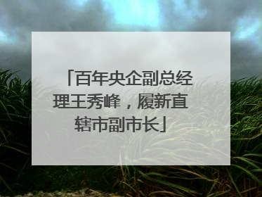 百年央企副总经理王秀峰，履新直辖市副市长