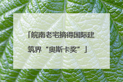 皖南老宅摘得国际建筑界“奥斯卡奖”