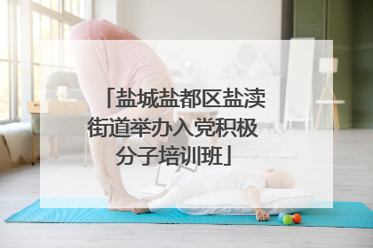 盐城盐都区盐渎街道举办入党积极分子培训班