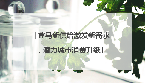 盒马新供给激发新需求，潜力城市消费升级