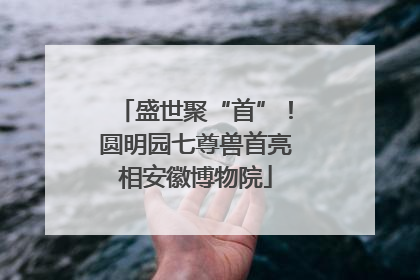 盛世聚“首”！圆明园七尊兽首亮相安徽博物院