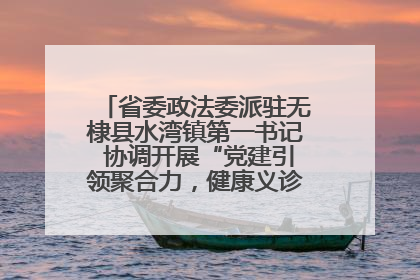 省委政法委派驻无棣县水湾镇第一书记 协调开展“党建引领聚合力，健康义诊惠乡亲”义诊活动