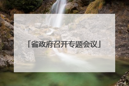 省政府召开专题会议