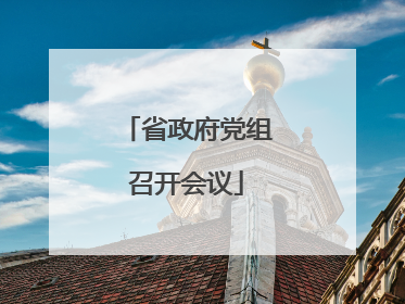 省政府党组召开会议
