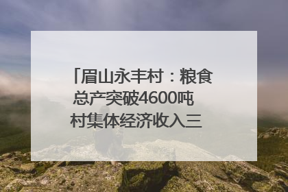 眉山永丰村：粮食总产突破4600吨 村集体经济收入三年倍增｜牵挂的村