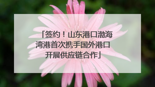 签约！山东港口渤海湾港首次携手国外港口开展供应链合作