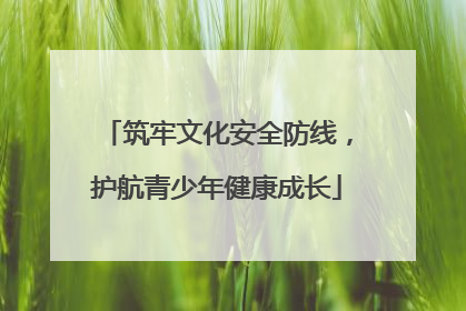 筑牢文化安全防线，护航青少年健康成长