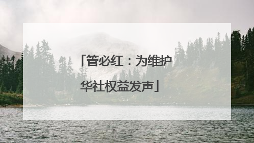 管必红：为维护华社权益发声