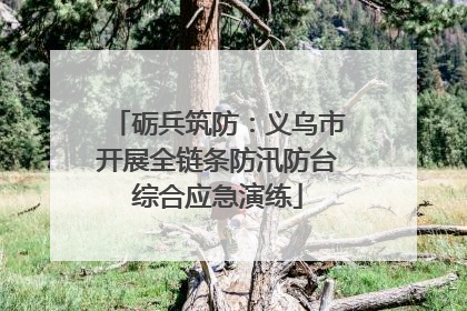砺兵筑防：义乌市开展全链条防汛防台综合应急演练