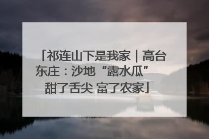 祁连山下是我家｜高台东庄：沙地“露水瓜” 甜了舌尖 富了农家