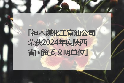 神木煤化工富油公司荣获2024年度陕西省国资委文明单位