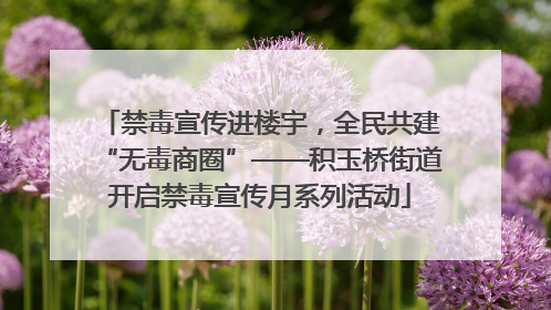 禁毒宣传进楼宇，全民共建“无毒商圈”——积玉桥街道开启禁毒宣传月系列活动