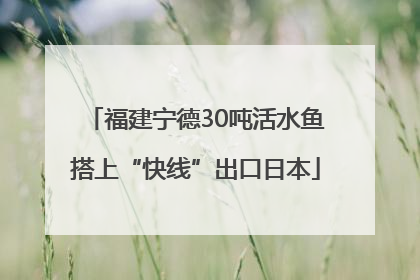 福建宁德30吨活水鱼搭上“快线”出口日本