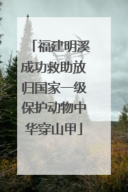 福建明溪成功救助放归国家一级保护动物中华穿山甲